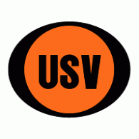 Union San Vicente de San Vicente logo vector logo
