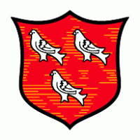 Dundalk FC logo vector logo