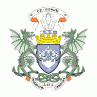 City of Dundee Scotland logo vector logo