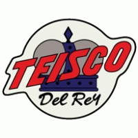 TEISCO logo vector logo