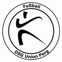 DSG Union Perg logo vector logo