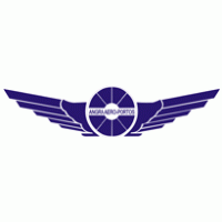 Angra Aero-Portos Ltda logo vector logo