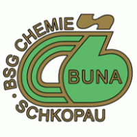 BSG Chemie Schkopau logo vector logo