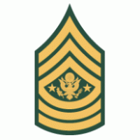 U. S. Army Enlisted Rank Insignia logo vector logo