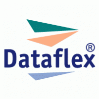 Dataflex logo vector logo