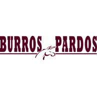 Burros Pardos ITS logo vector logo