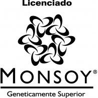 Licenciado Monsoy logo vector logo
