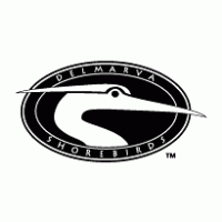 Delmarva Shorebirds logo vector logo