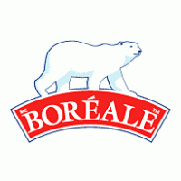 Boreale logo vector logo