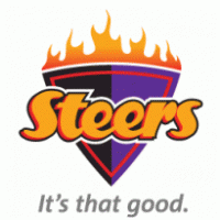 Steers South Africa 2009 logo vector logo