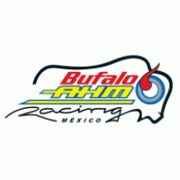 Bufalo Racing Team logo vector logo