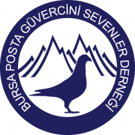 Bursa Posta logo vector logo