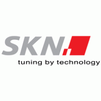 SKN Tuning Gmbh logo vector logo