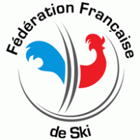 FFS logo vector logo