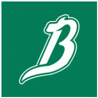 Broncos de Reynosa logo vector logo
