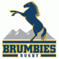 Brumbies logo vector logo