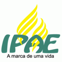 IPAE logo vector logo