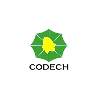 Codech logo vector logo