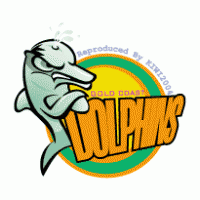 Dolphins logo vector logo