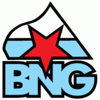BNG logo vector logo