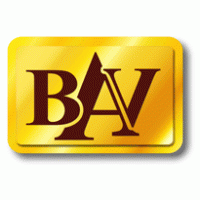 bav logo vector logo