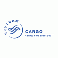 SkyTeam Cargo logo vector logo