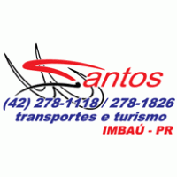 Carolina Santos logo vector logo