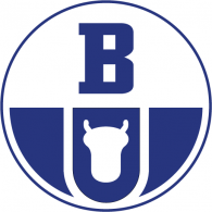 Boryszew Group logo vector logo