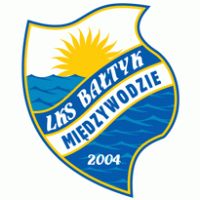 LKS Baltyk Miedzywodzie logo vector logo
