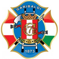 Compañia de Bomberos Garibaldi 7 logo vector logo
