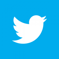 Twitter 2012 Negative logo vector logo