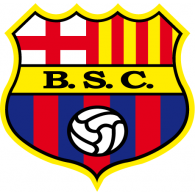 BSC logo vector logo