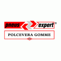 Pneus Expert logo vector logo