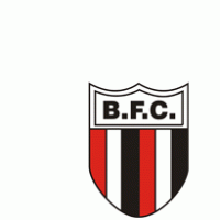 Botafogo Futebol Clube logo vector logo