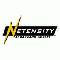 Netensity logo vector logo