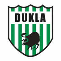 Dukla Bysina logo vector logo