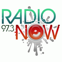 97.3 Radio Now logo vector logo