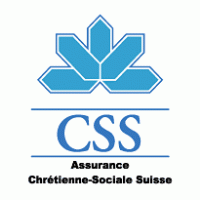 CSS logo vector logo