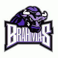 Fort Worth Brahmas logo vector logo