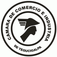 C logo vector logo