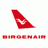 Birgenair logo vector logo