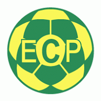 Esporte Clube Paladino de Santo Augusto-RS logo vector logo