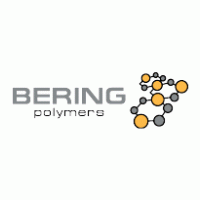 Bering logo vector logo