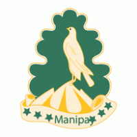Manipay logo vector logo