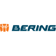 Bering logo vector logo