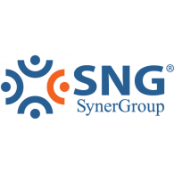 SNG SynerGroup logo vector logo