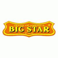 Big Star logo vector logo