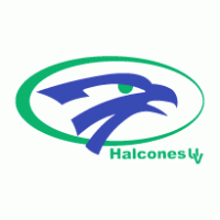 Halcones de Xalapa logo vector logo