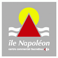 Napoleon logo vector logo