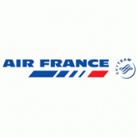 Air France Sky Team logo vector logo